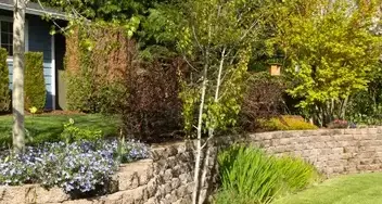 dallage Saint-Aignan-Grandlieu-1
