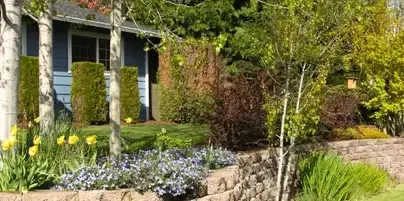 paysagiste Saint-Aignan-Grandlieu-3